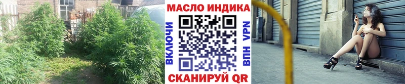 Купить где  Рыбное  ТГК гашишное масло 